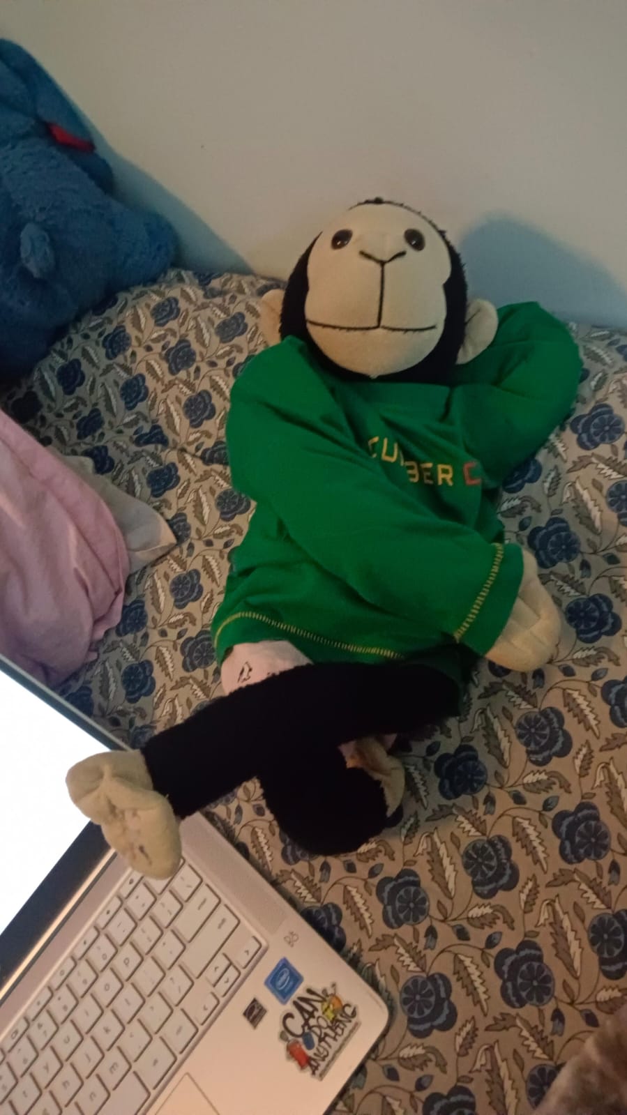 Anime Monkey Valentine